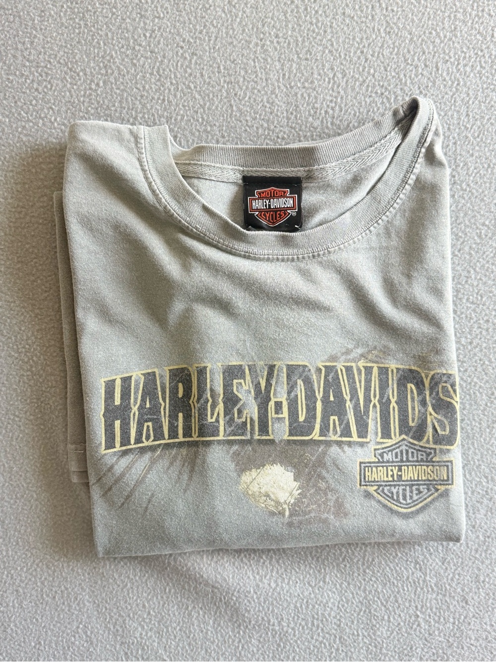 Harley-Davidson Light Green Short Sleeve Graphic Tee with Yellow Accents